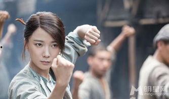 英雄有梦演员表,实力派明星齐聚一堂,共筑传奇故事