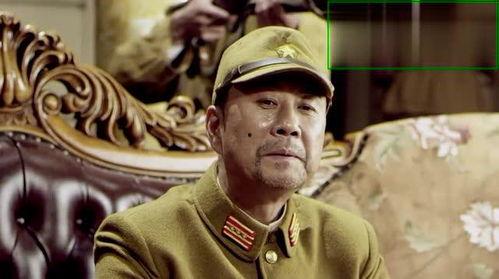 关鹏演员,从影视新星到实力派演员的蜕变之路