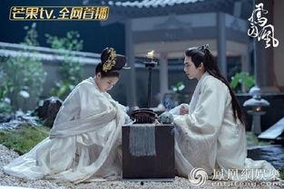 凤囚凰朱雀背景