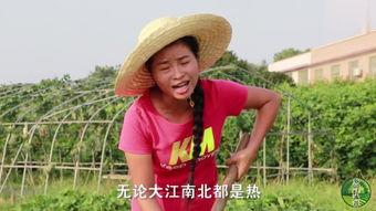 村姑搞笑音乐,田间地头笑声飞扬,欢乐旋律传遍大地